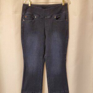 Kim Gravel Jeans - 12 P
